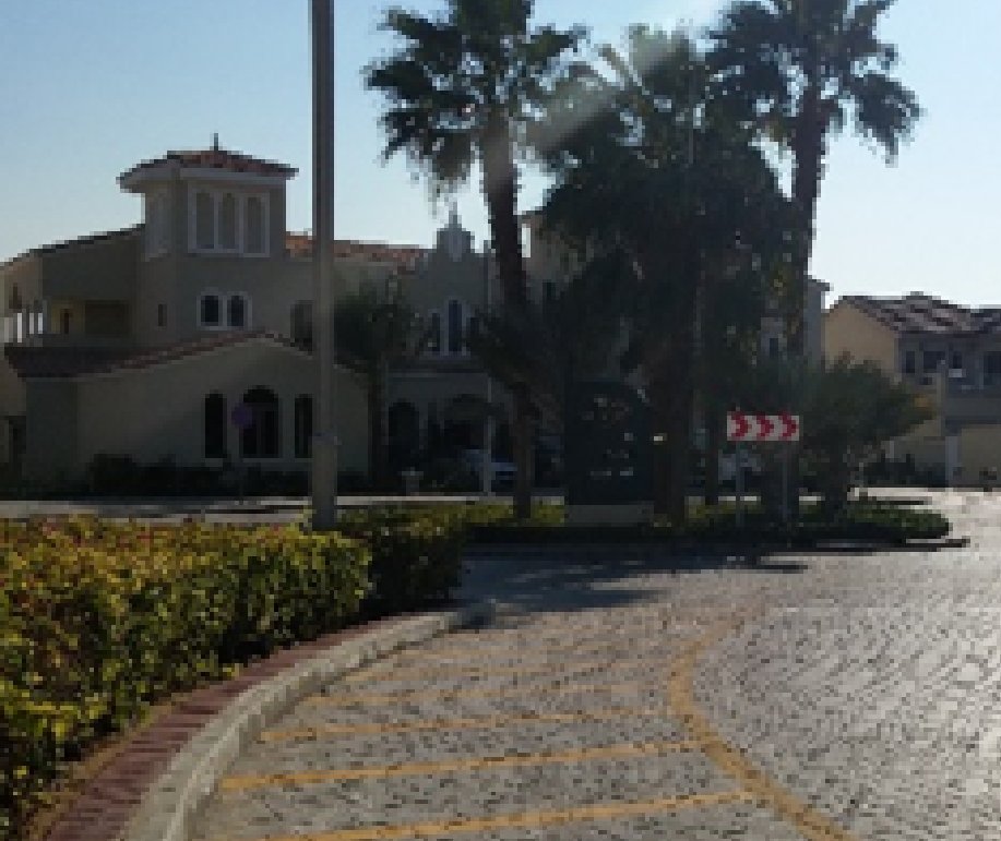 Palm jumeirah